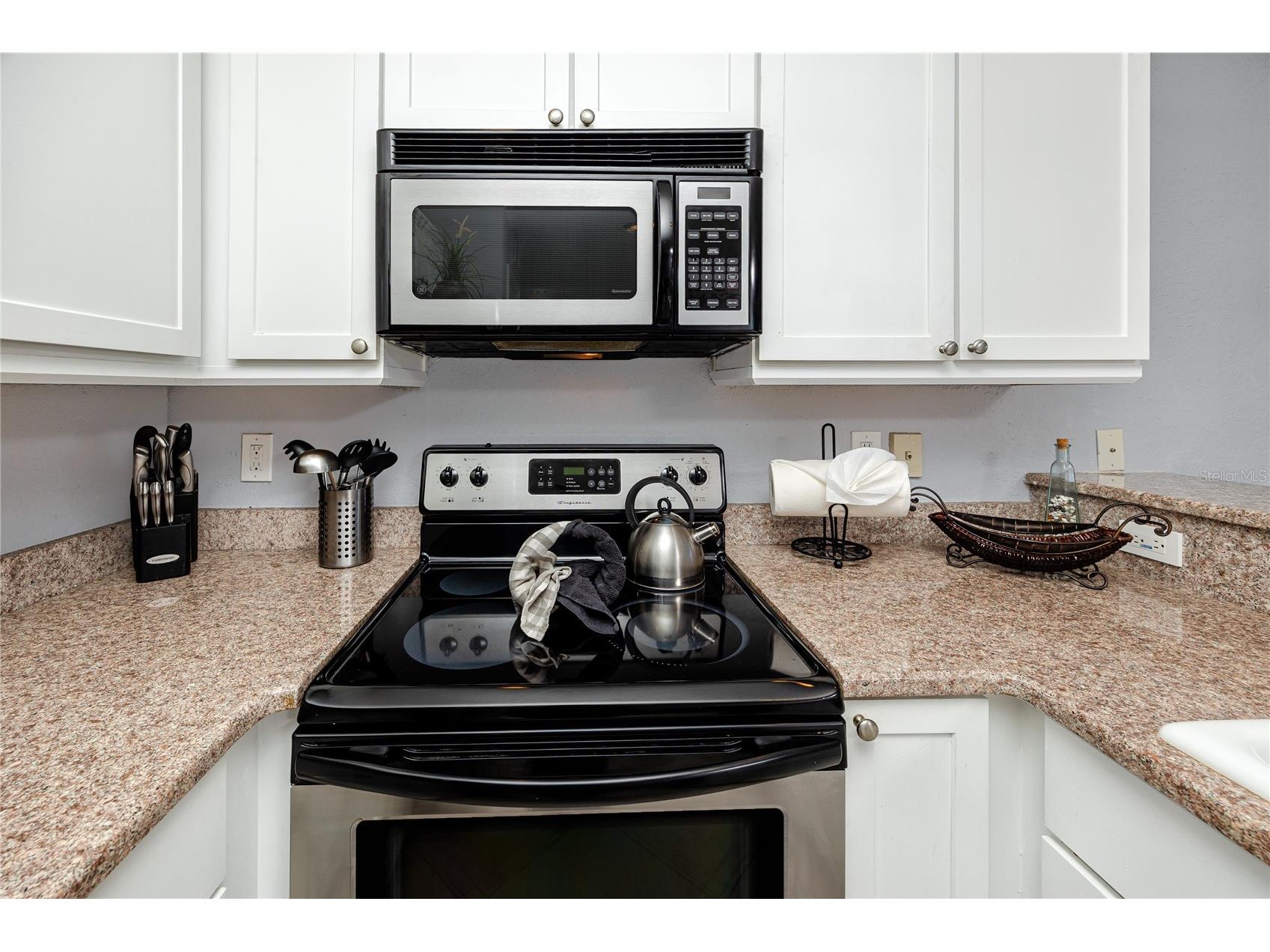 4103 Gulf Boulevard #209 Saint Pete Beach FL 33706 TB8520951 image7