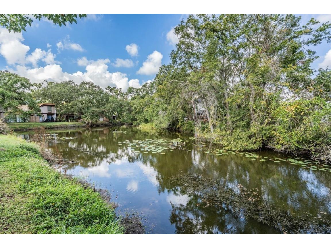 4103 Muriel Place #5-D Tampa FL 33614 TB8430314 image40