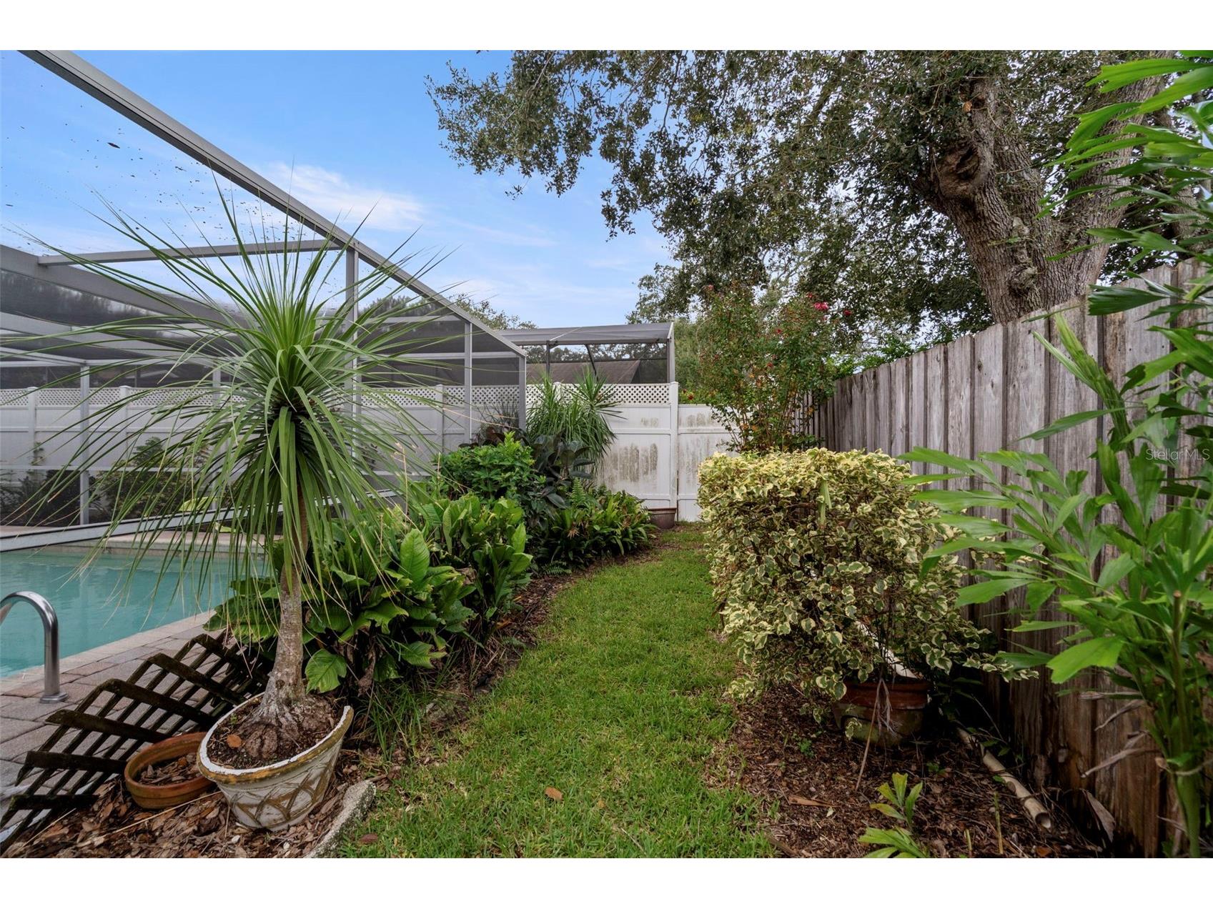 4103 N Bay Hills Boulevard Safety Harbor FL 34695 TB8508621 image60
