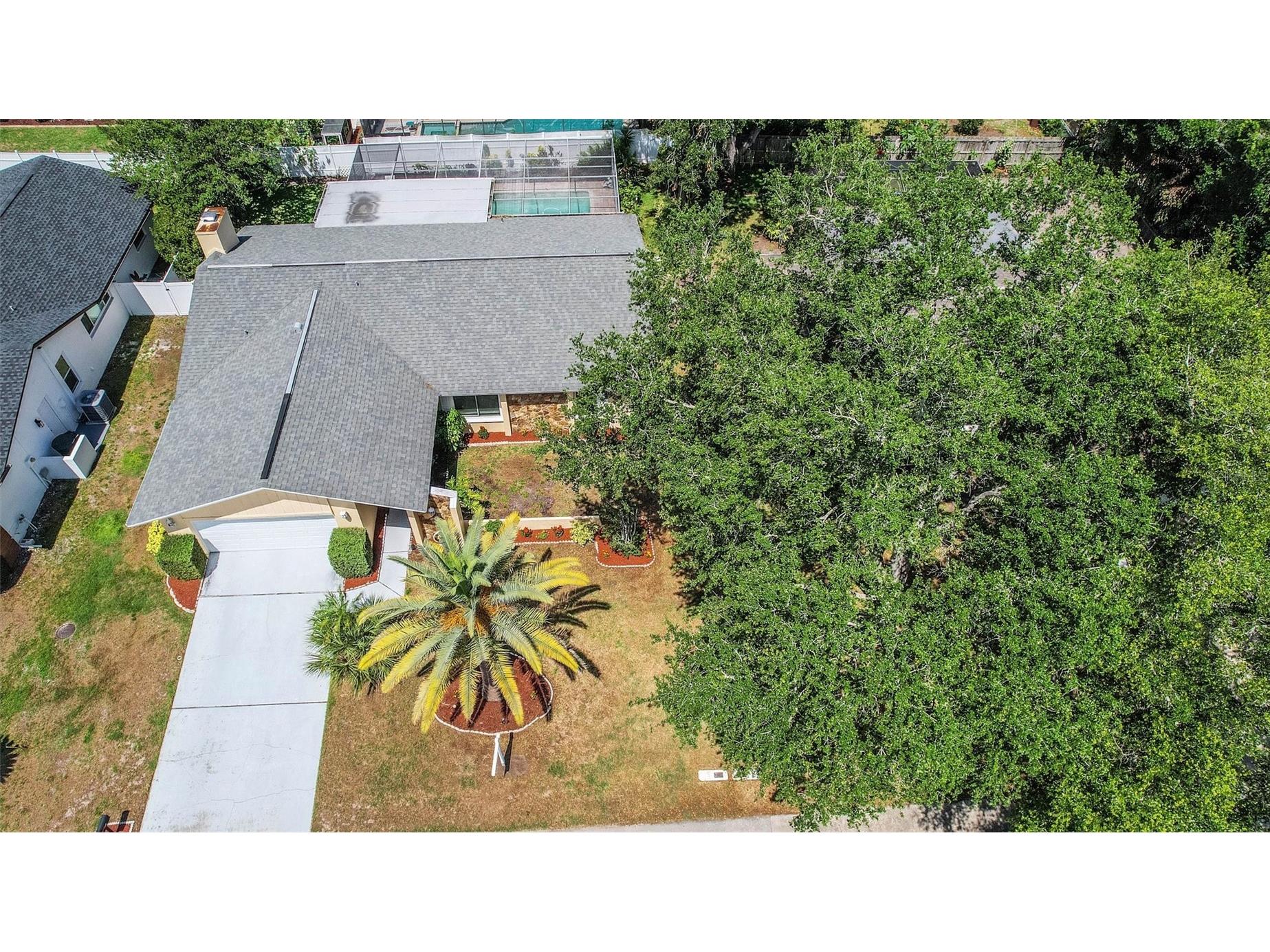 4103 N Bay Hills Boulevard Safety Harbor FL 34695 TB8508621 image66