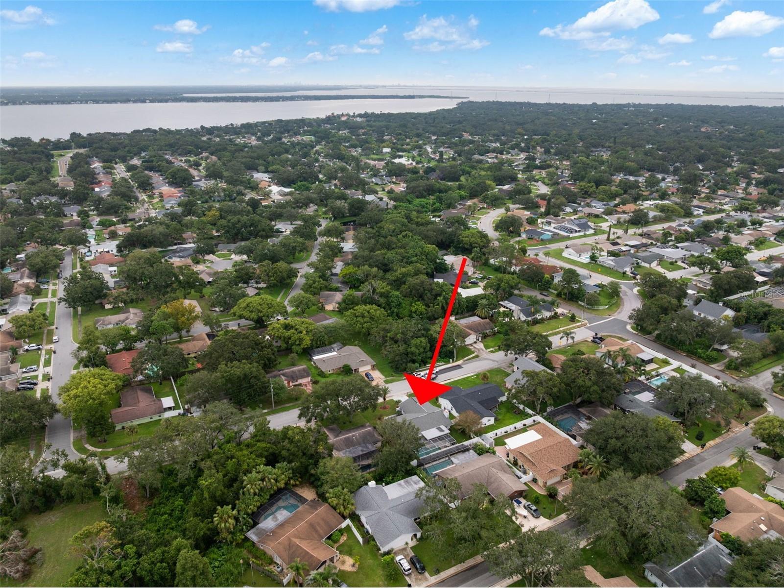 4103 N Bay Hills Boulevard Safety Harbor FL 34695 TB8508621 image67