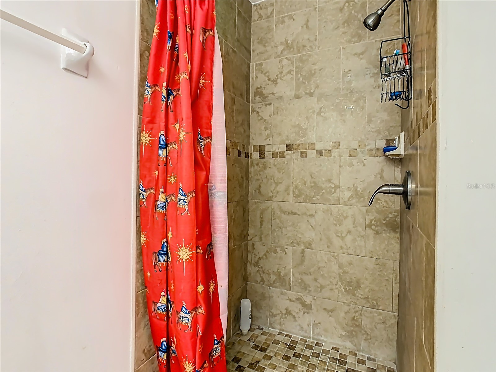 4103 Spitfire Avenue Kissimmee FL 34741 O6384633 image23