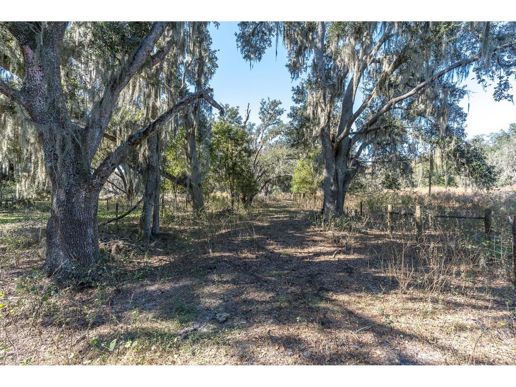 4103 Stanley Road Plant City FL 33565 TB8460232 image1