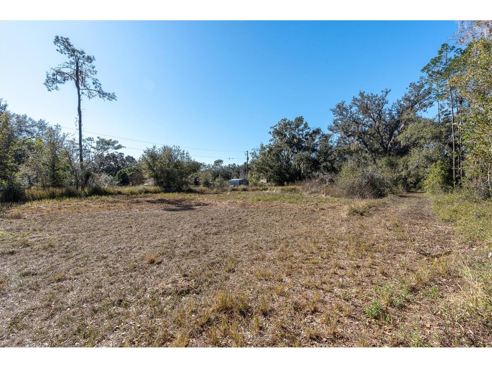 4103 Stanley Road Plant City FL 33565 TB8460232 image3