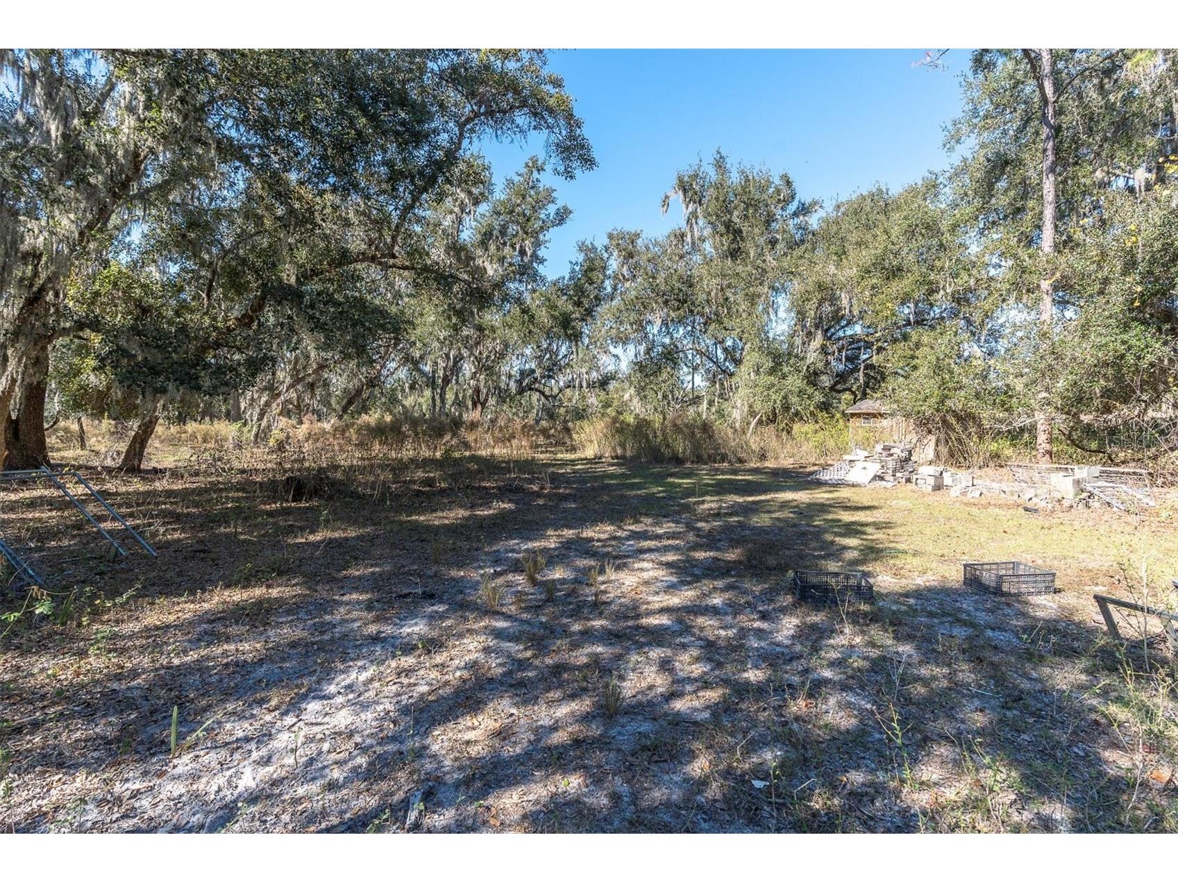 4103 Stanley Road Plant City FL 33565 TB8460232 image5