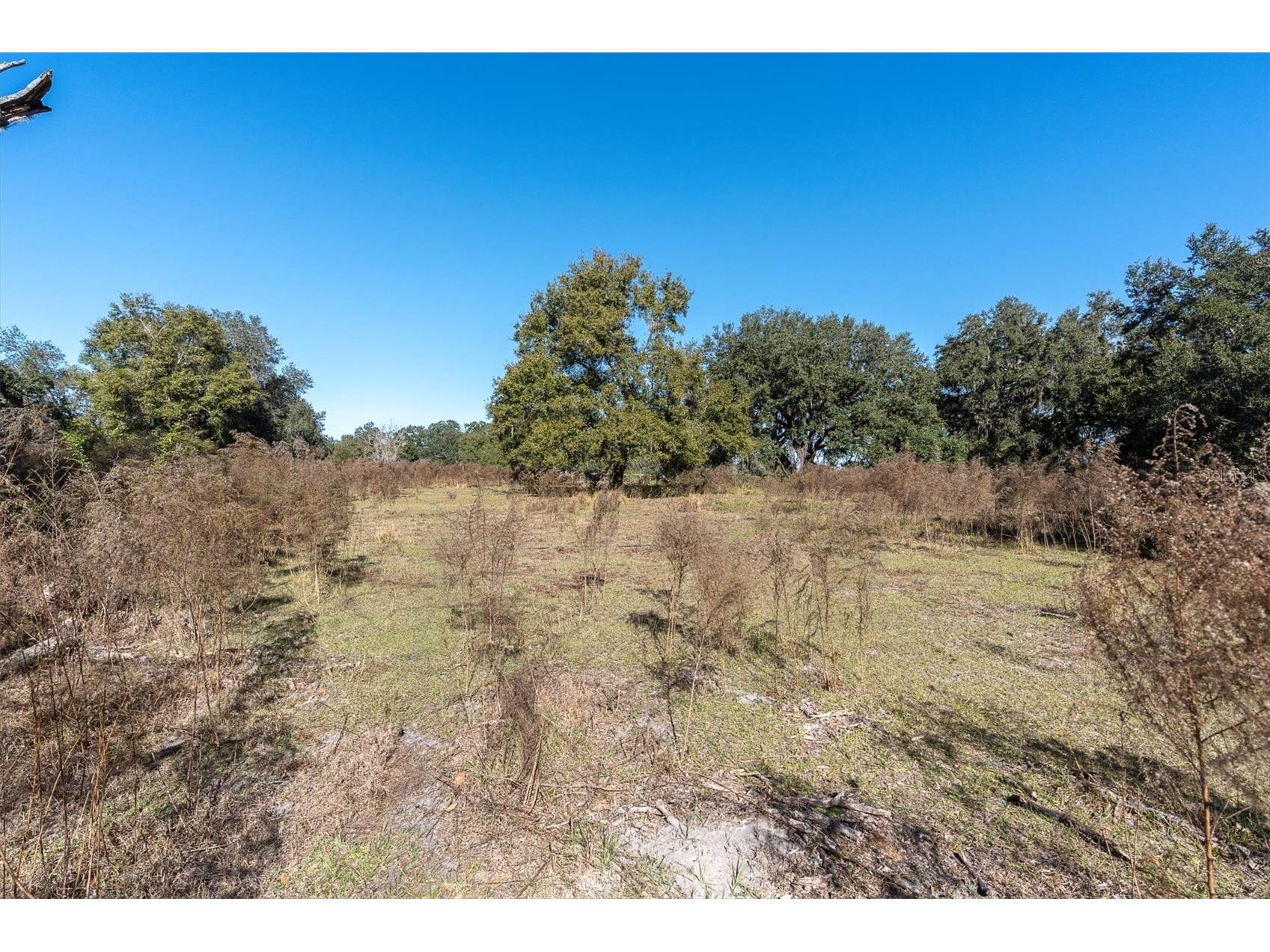 4103 Stanley Road Plant City FL 33565 TB8460232 image7