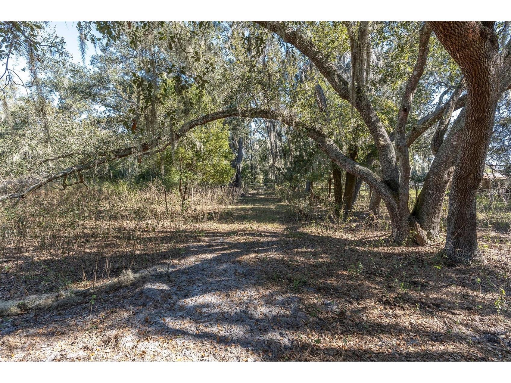 4103 Stanley Road Plant City FL 33565 TB8460232 image8