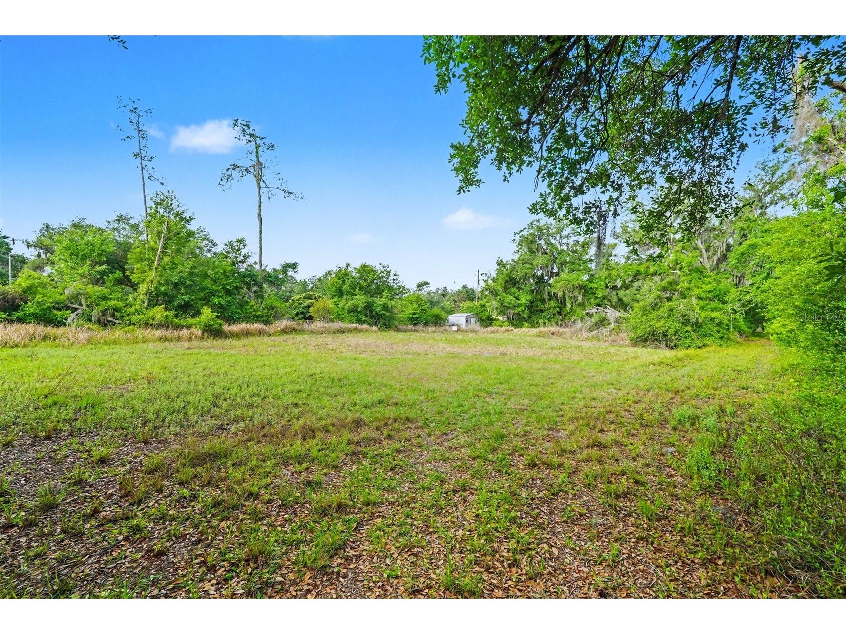 4103 Stanley Road Plant City FL 33565 TB8510912 image2