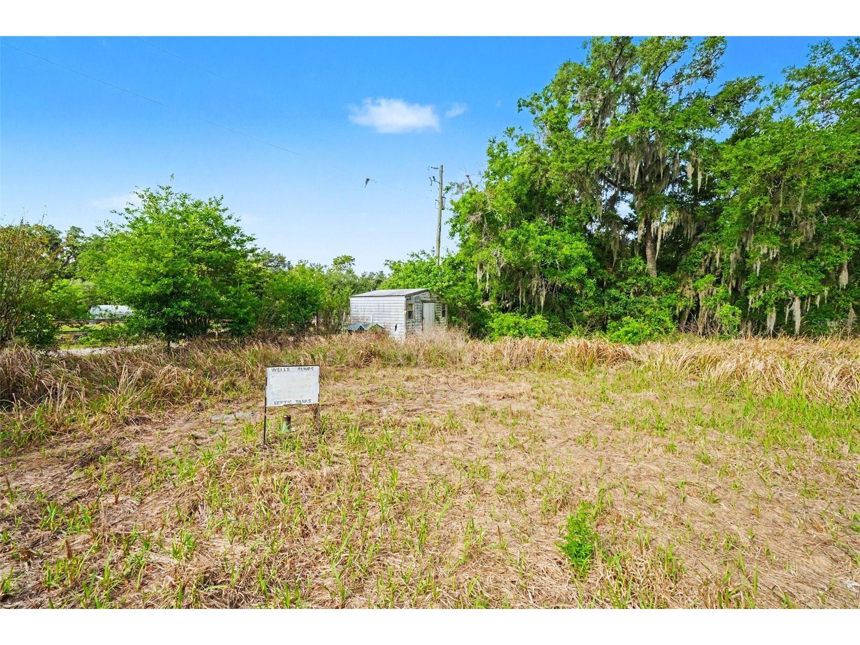 4103 Stanley Road Plant City FL 33565 TB8510912 image3
