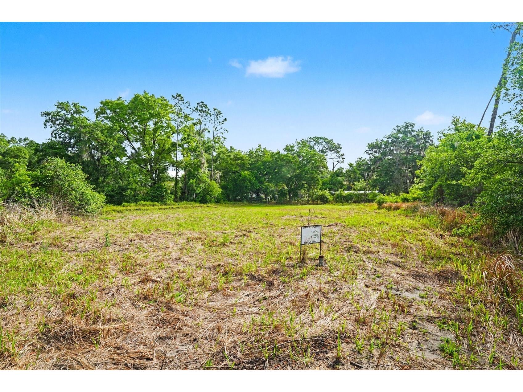 4103 Stanley Road Plant City FL 33565 TB8510912 image4