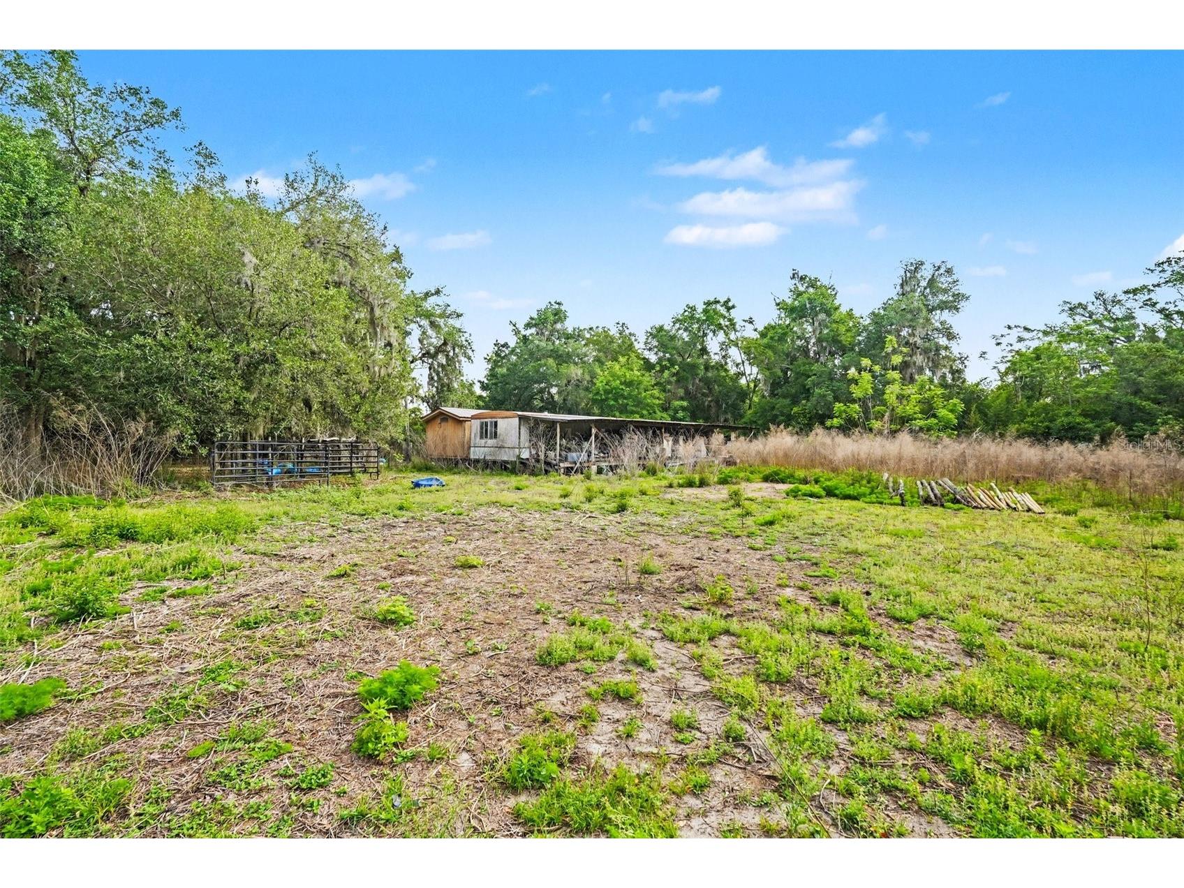 4103 Stanley Road Plant City FL 33565 TB8510912 image6