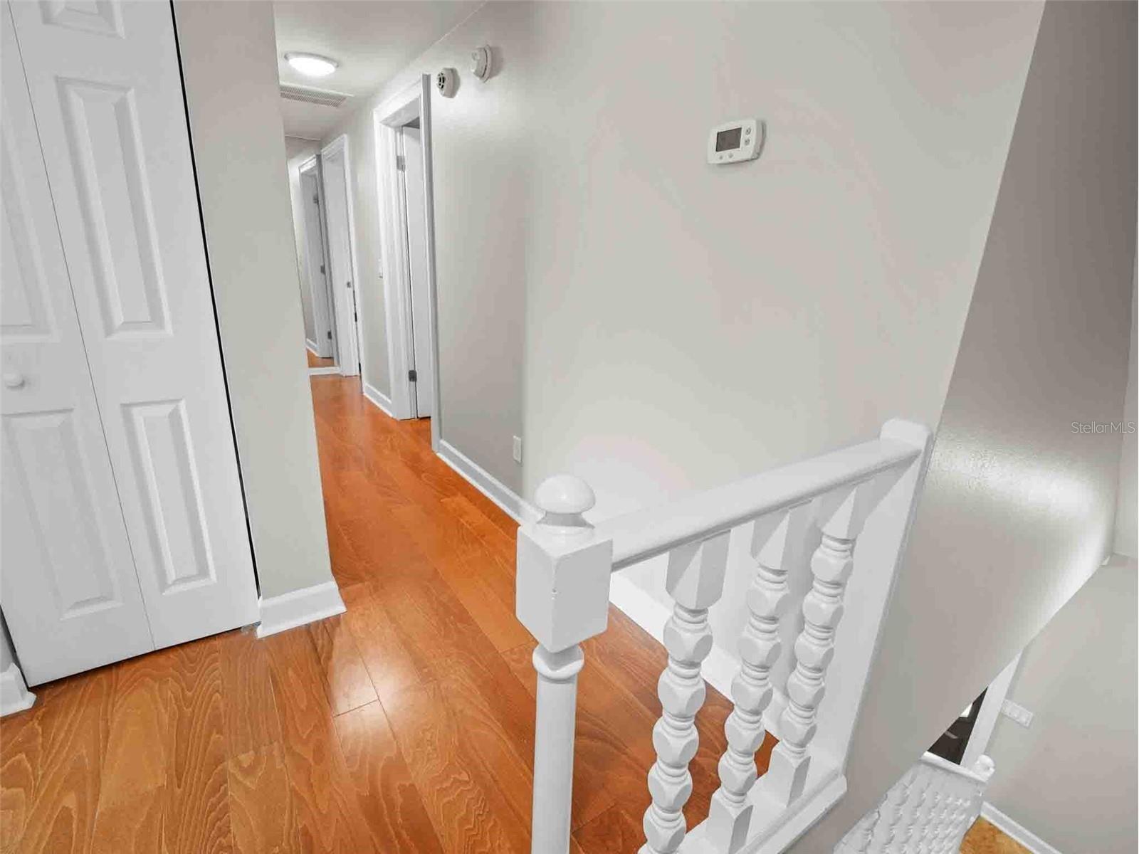 4104 Dellbrook Drive Tampa FL 33624 TB8484117 image21