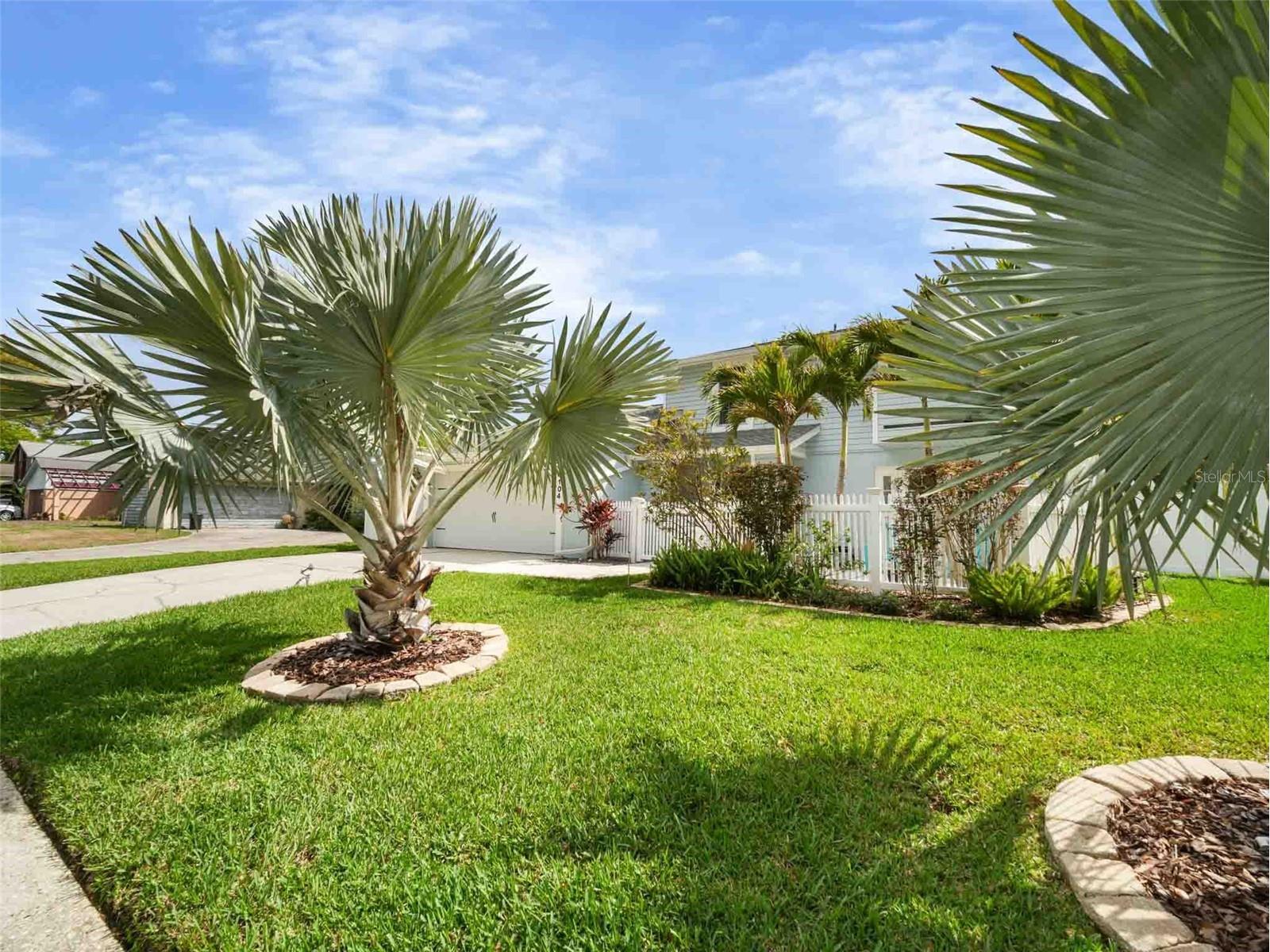 4104 Dellbrook Drive Tampa FL 33624 TB8484117 image32