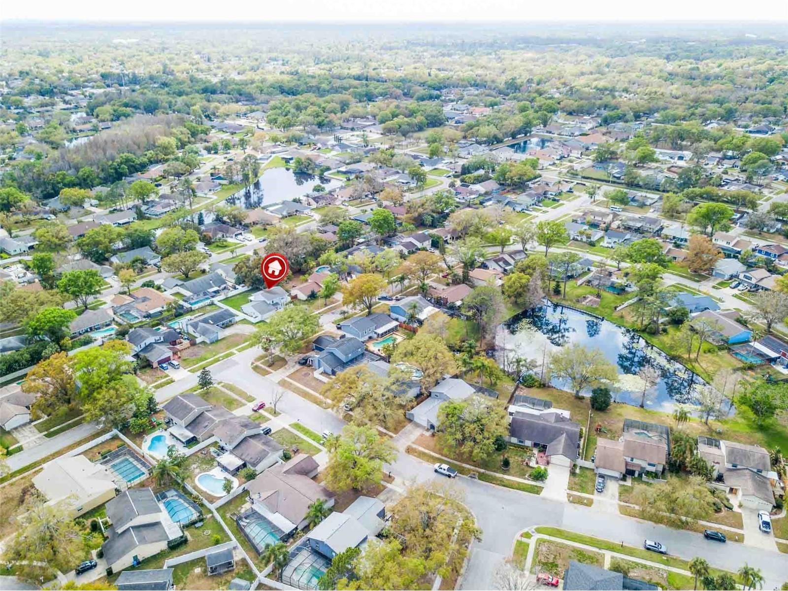 4104 Dellbrook Drive Tampa FL 33624 TB8484117 image5