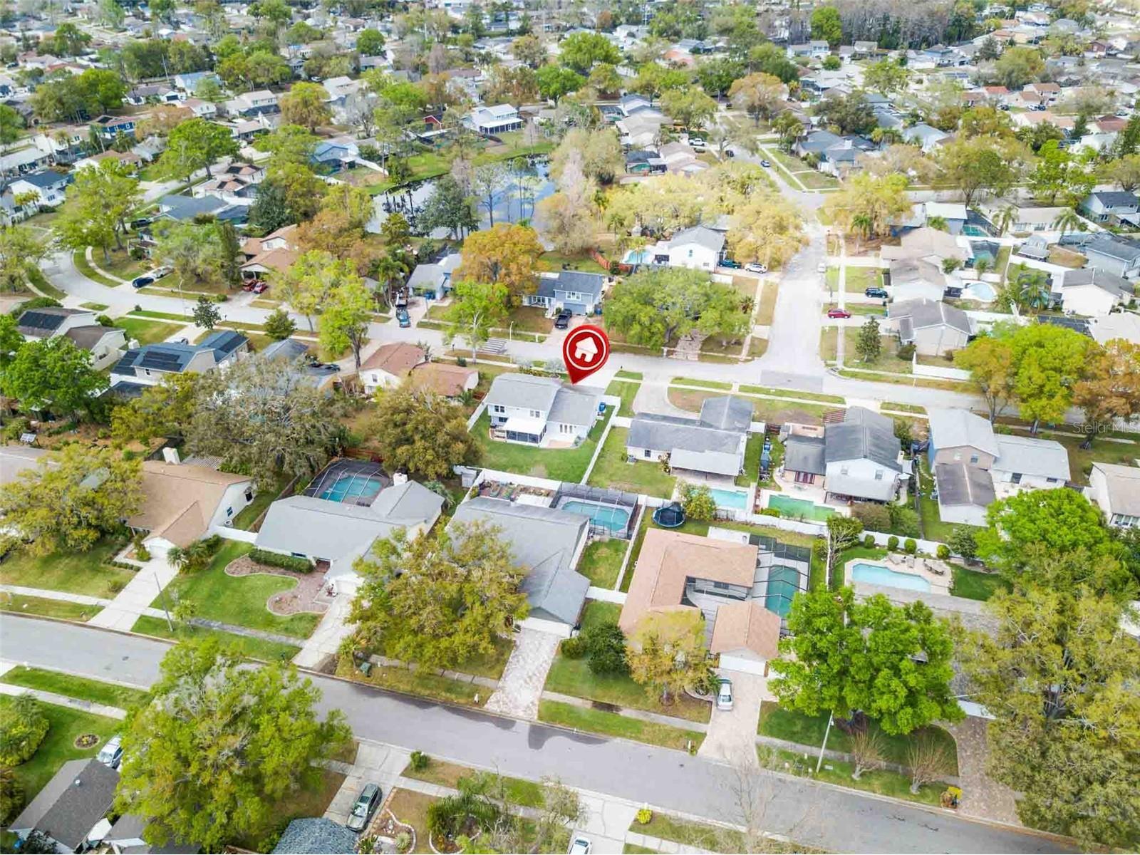 4104 Dellbrook Drive Tampa FL 33624 TB8484117 image6