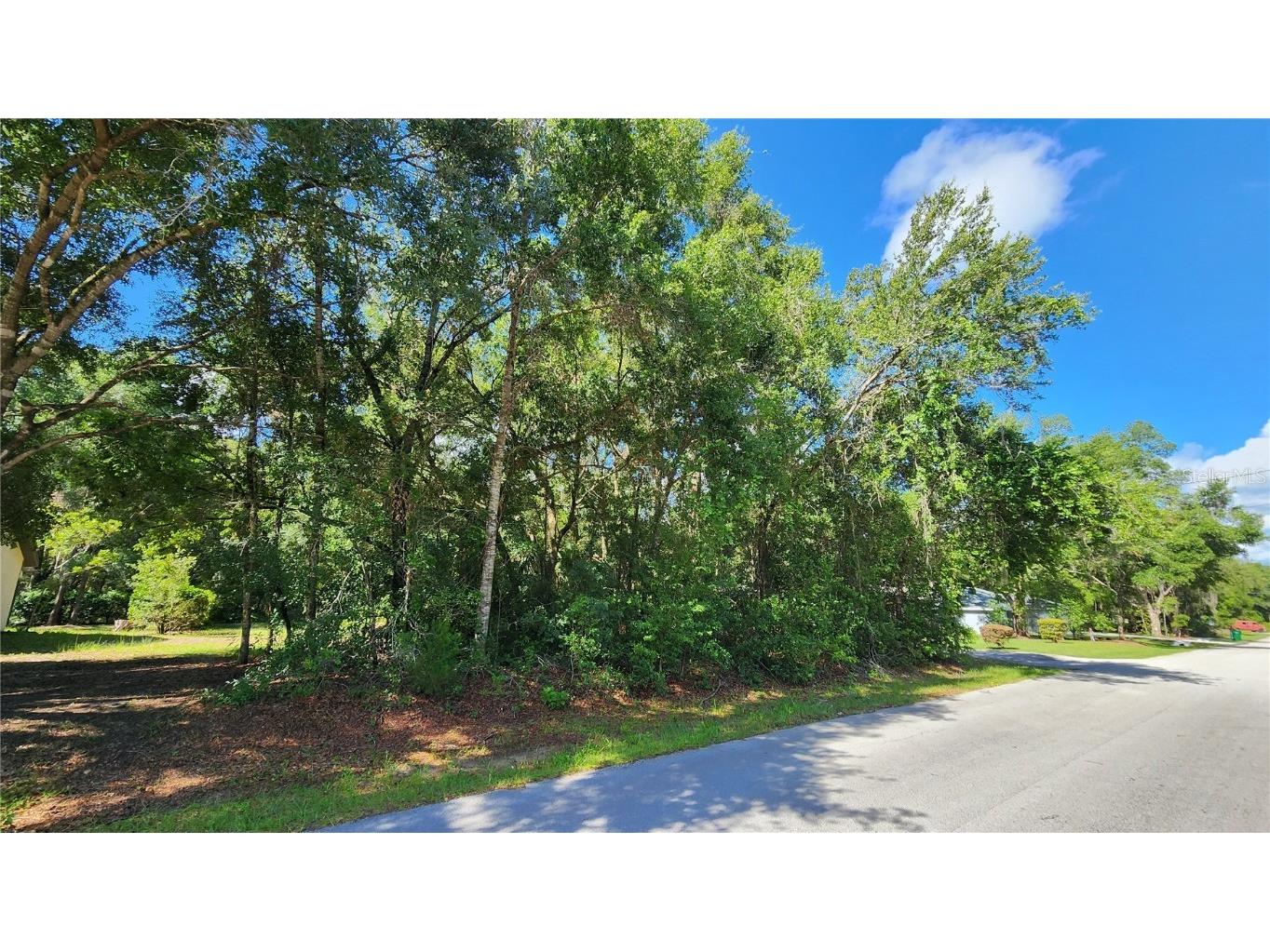 4104 E Scotty Street Inverness FL 34453 TB8395984 image1