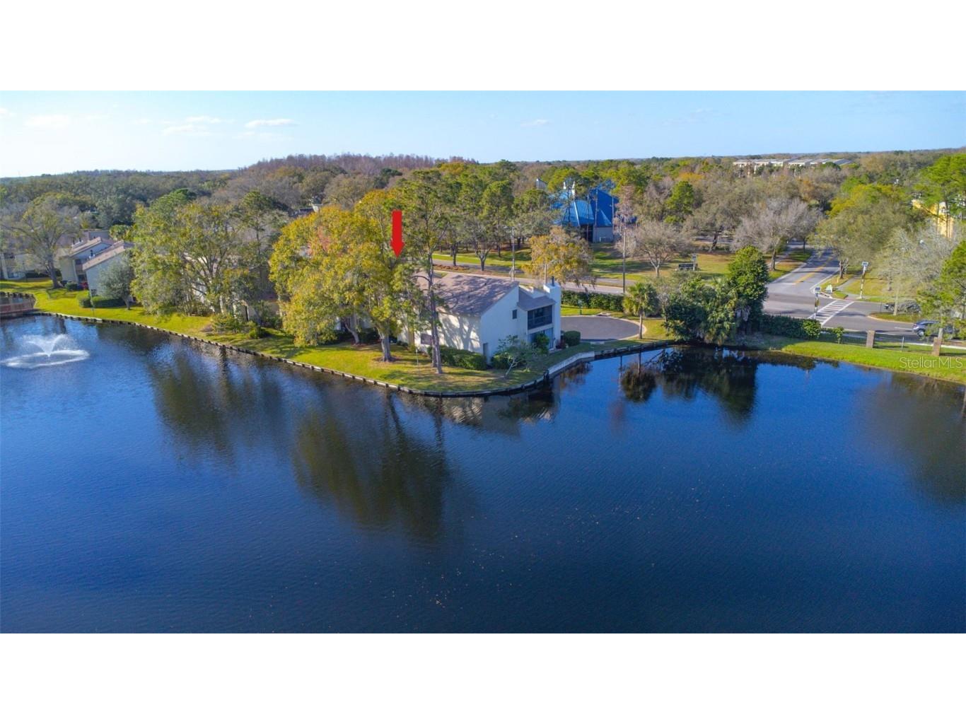 4104 Pinelake Lane #102 Tampa FL 33618 T3430046 image1