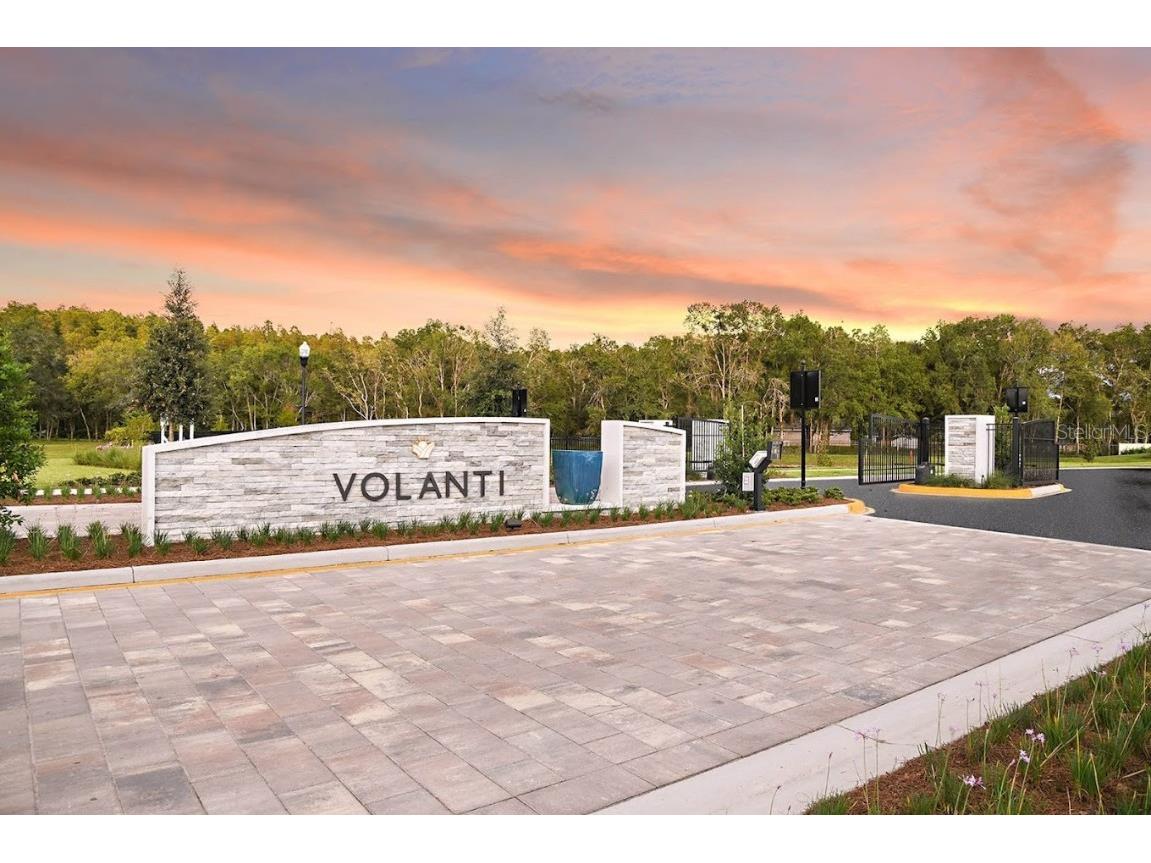 4104 Snail Cork Place Lutz FL 33559 J986583 image1