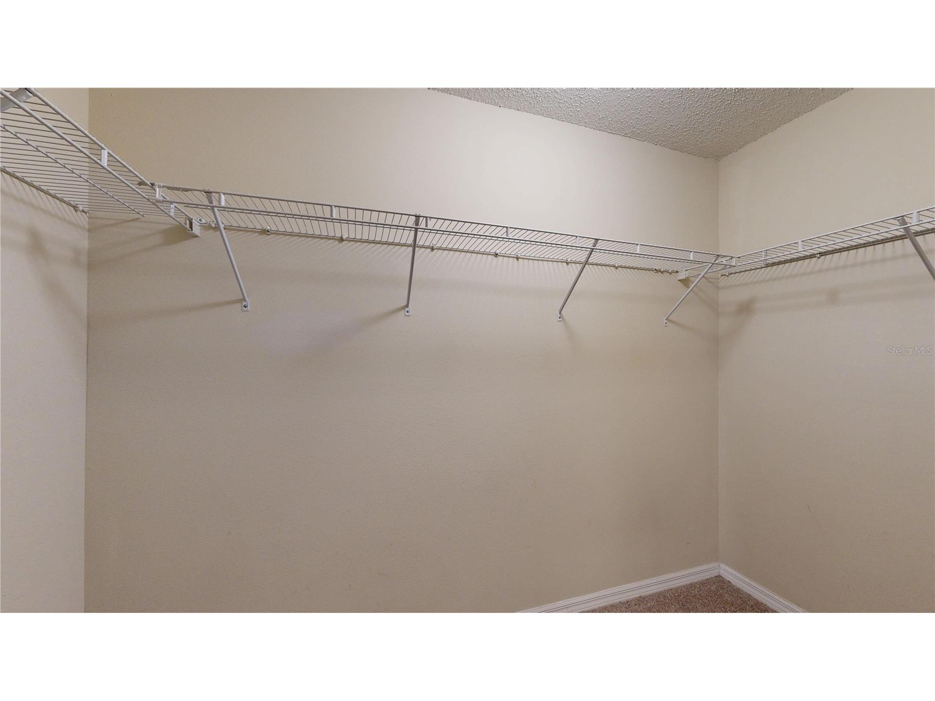 4104 Winding River Way Land O Lakes FL 34639 TB8464523 image18