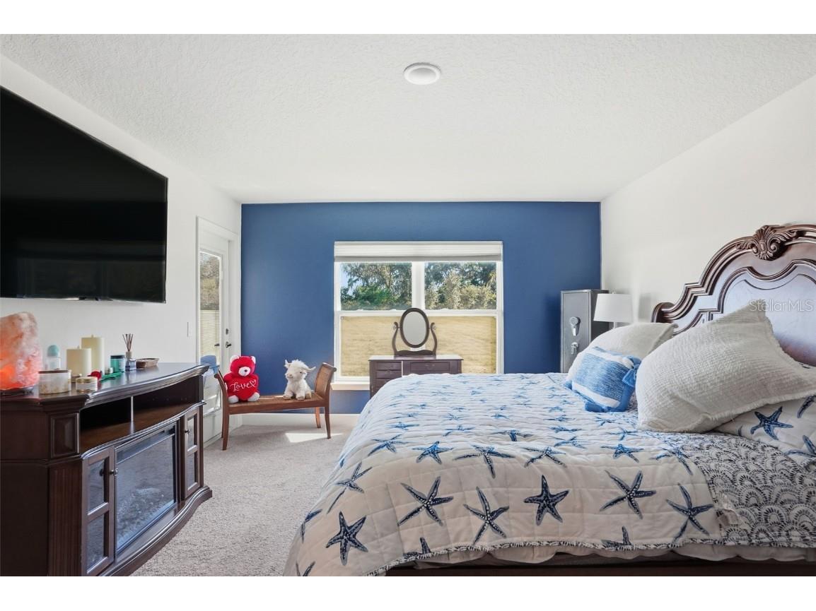 41043 Stanton Hall Dade City FL 33525 TB8448478 image23