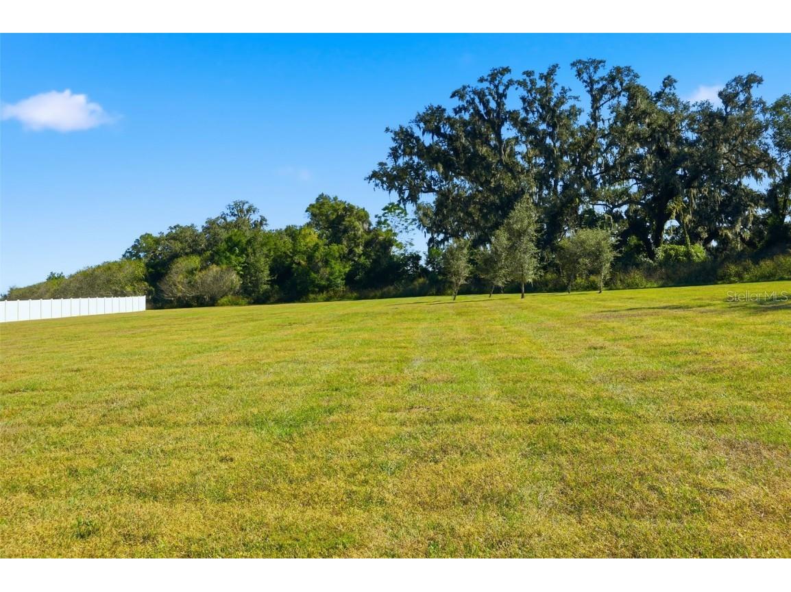 41043 Stanton Hall Dade City FL 33525 TB8448478 image40