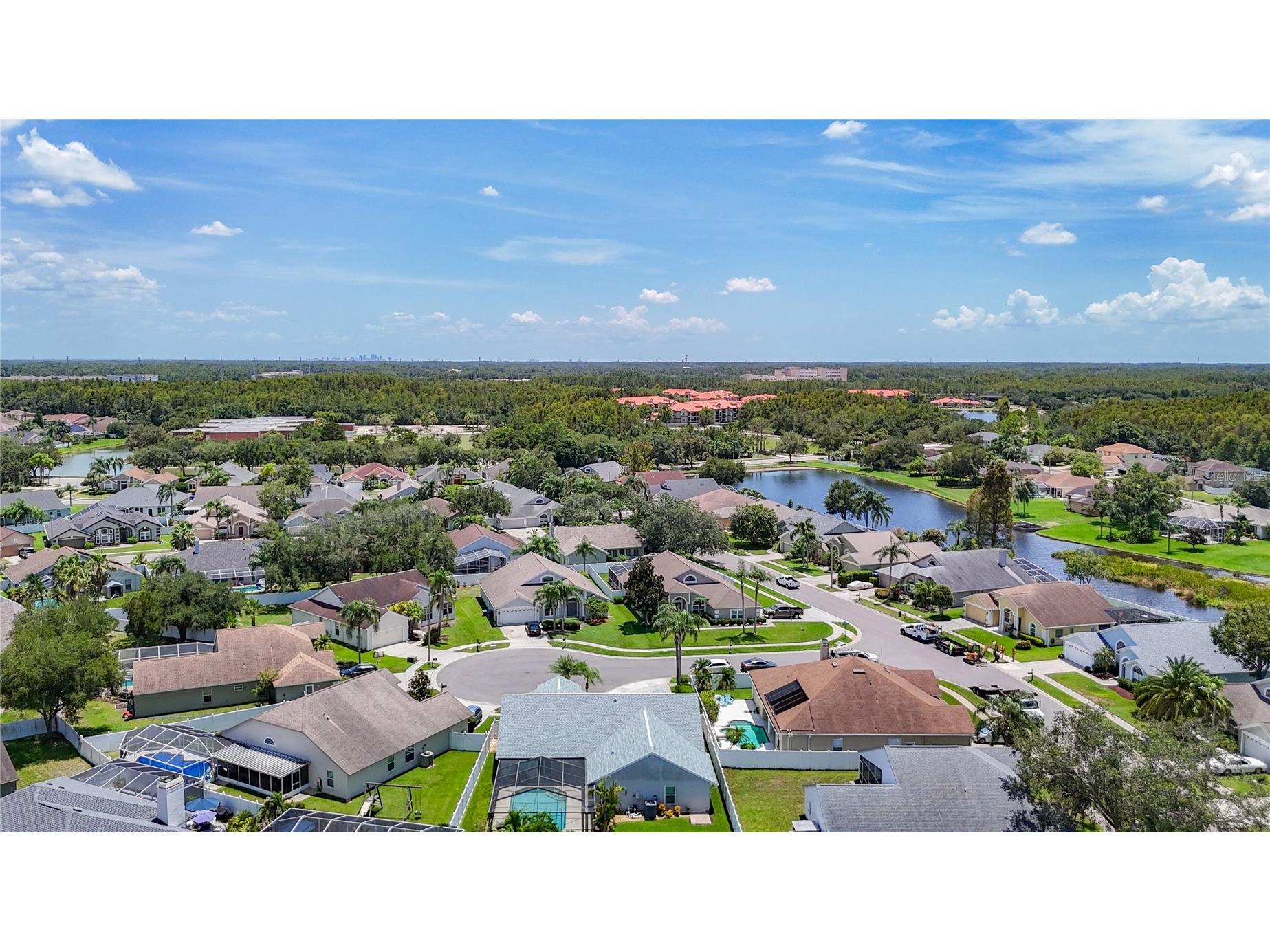 4105 Angel Wing Court Lutz FL 33558 W7887919 image73