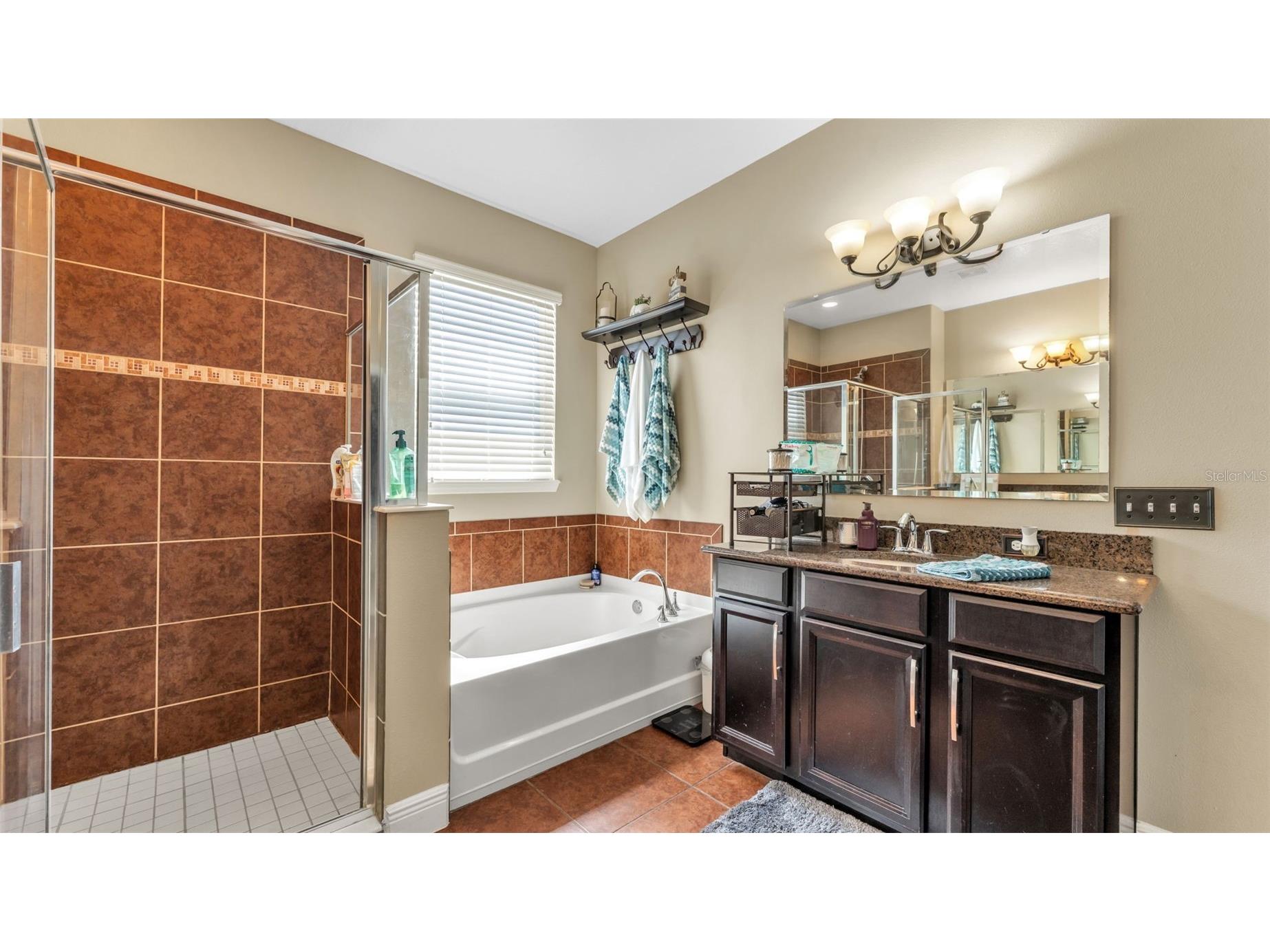 4105 Berkshire Loop Lakeland FL 33813 L4959913 image26