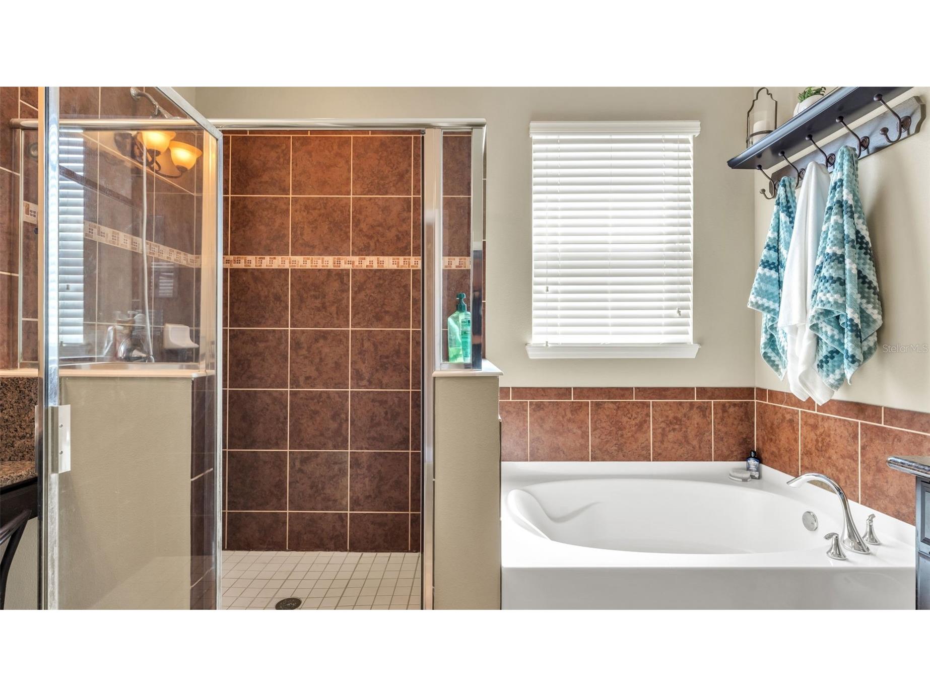4105 Berkshire Loop Lakeland FL 33813 L4959913 image28
