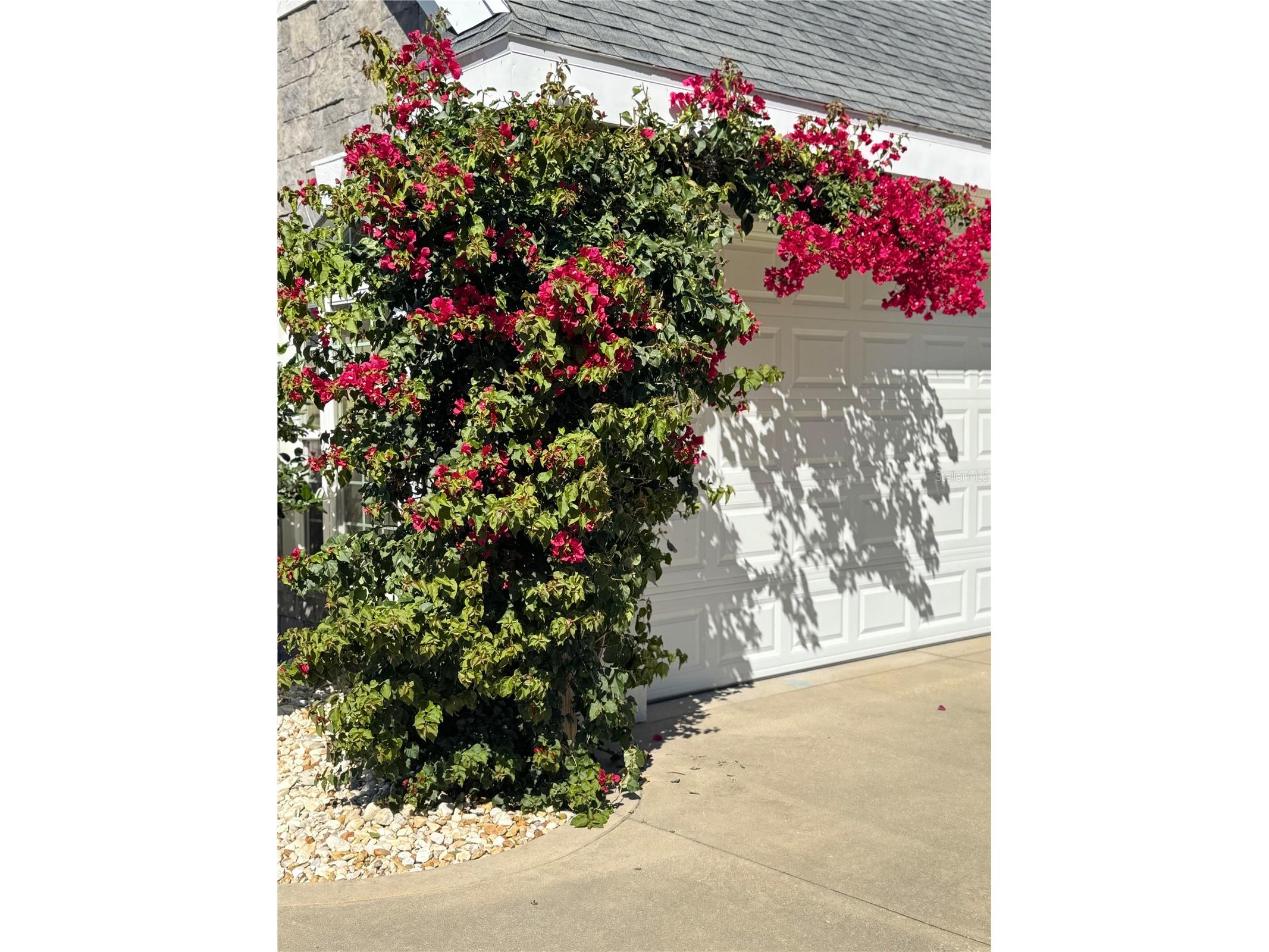 4105 Piute Lane Ormond Beach FL 32174 FC317202 image36