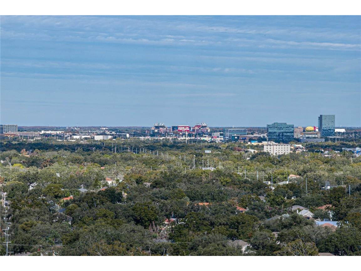 4105 W Bay Villa Avenue Tampa FL 33611 TB8459133 image65
