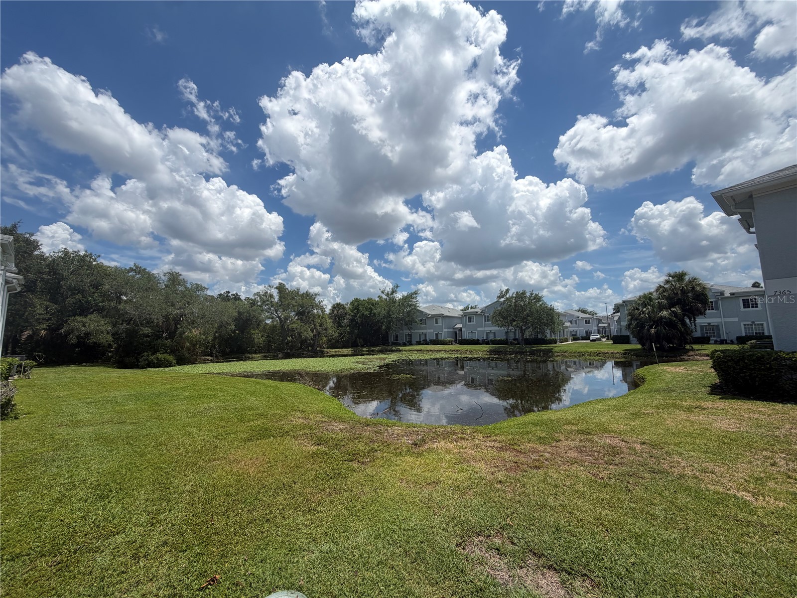 4105 Waterside Island Court Tampa FL 33617 TB8513631 image16