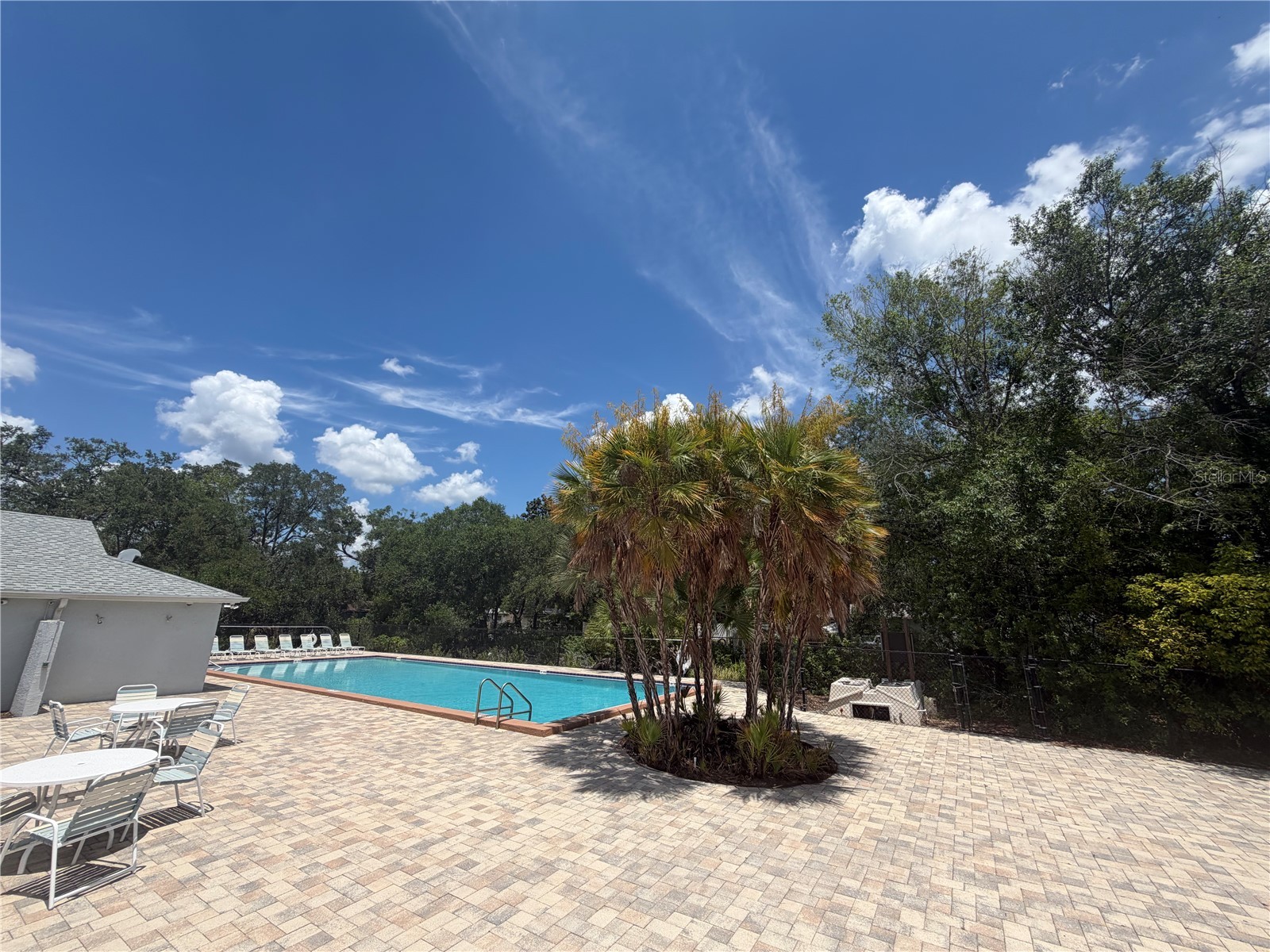 4105 Waterside Island Court Tampa FL 33617 TB8513631 image17