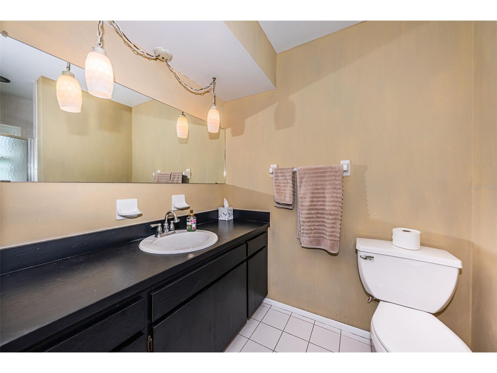 4106 53rd Avenue S Saint Petersburg FL 33711 TB8487176 image17