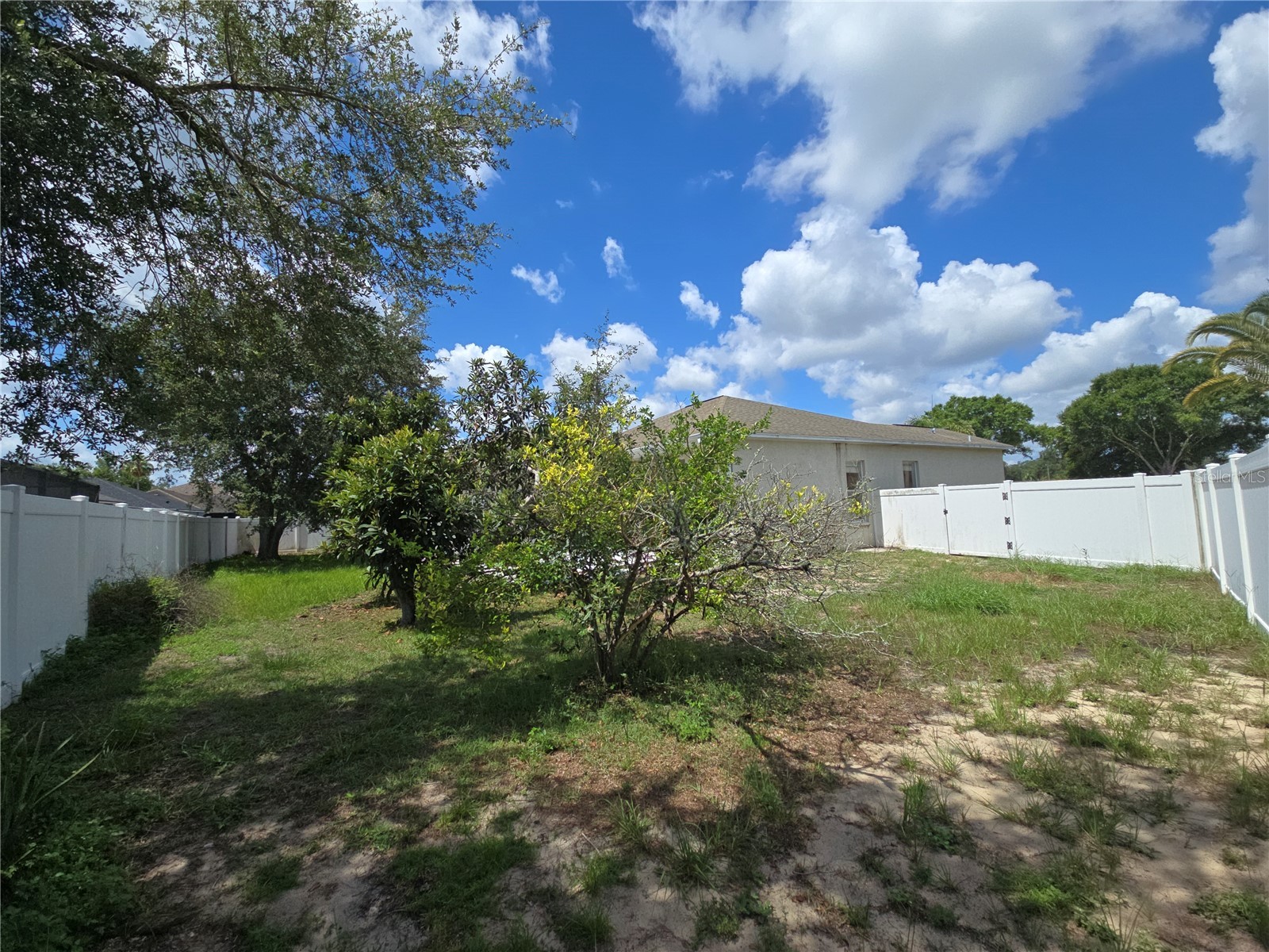 4106 Balington Drive Valrico FL 33596 TB8525099 image25