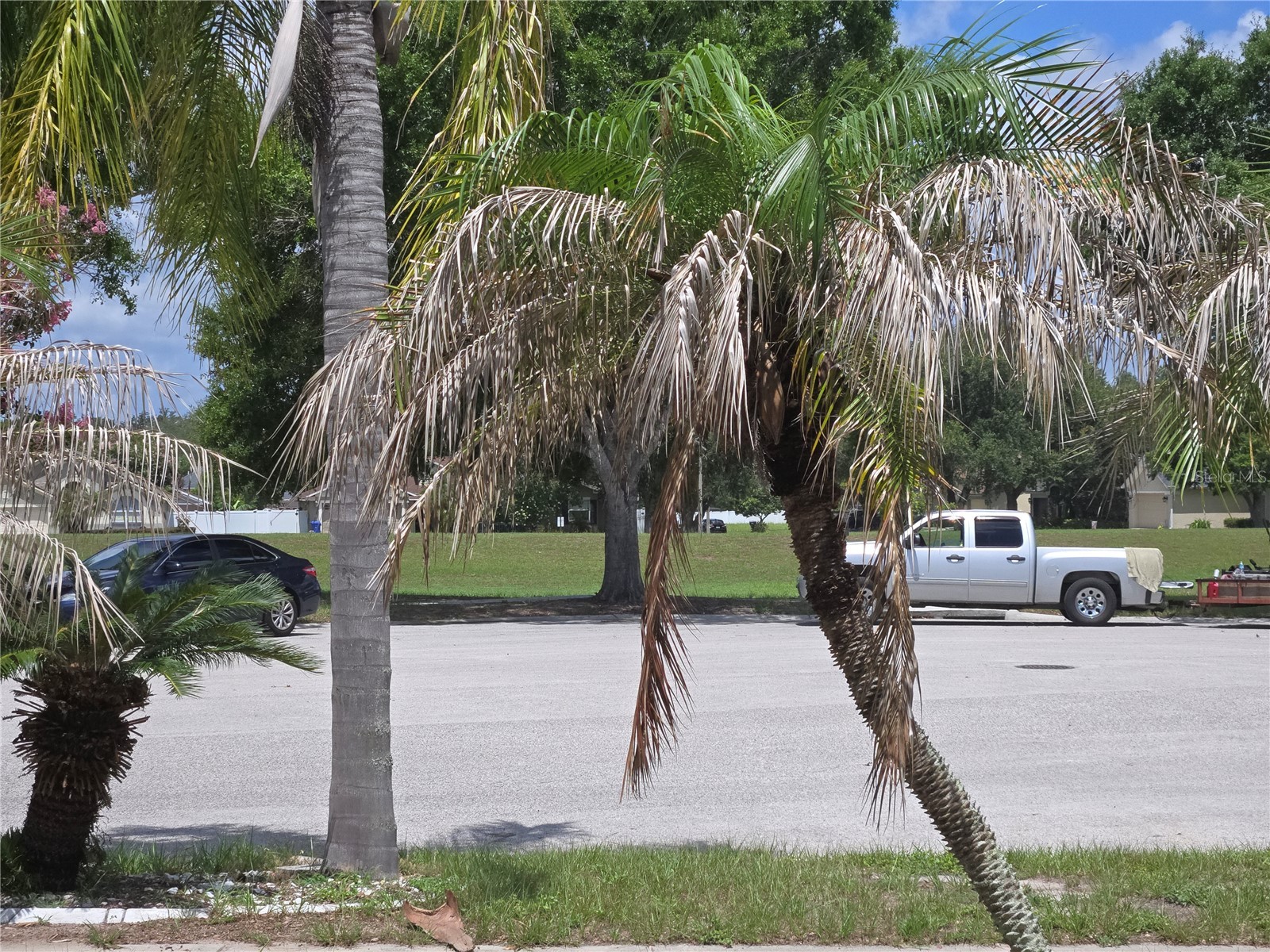 4106 Balington Drive Valrico FL 33596 TB8525099 image3