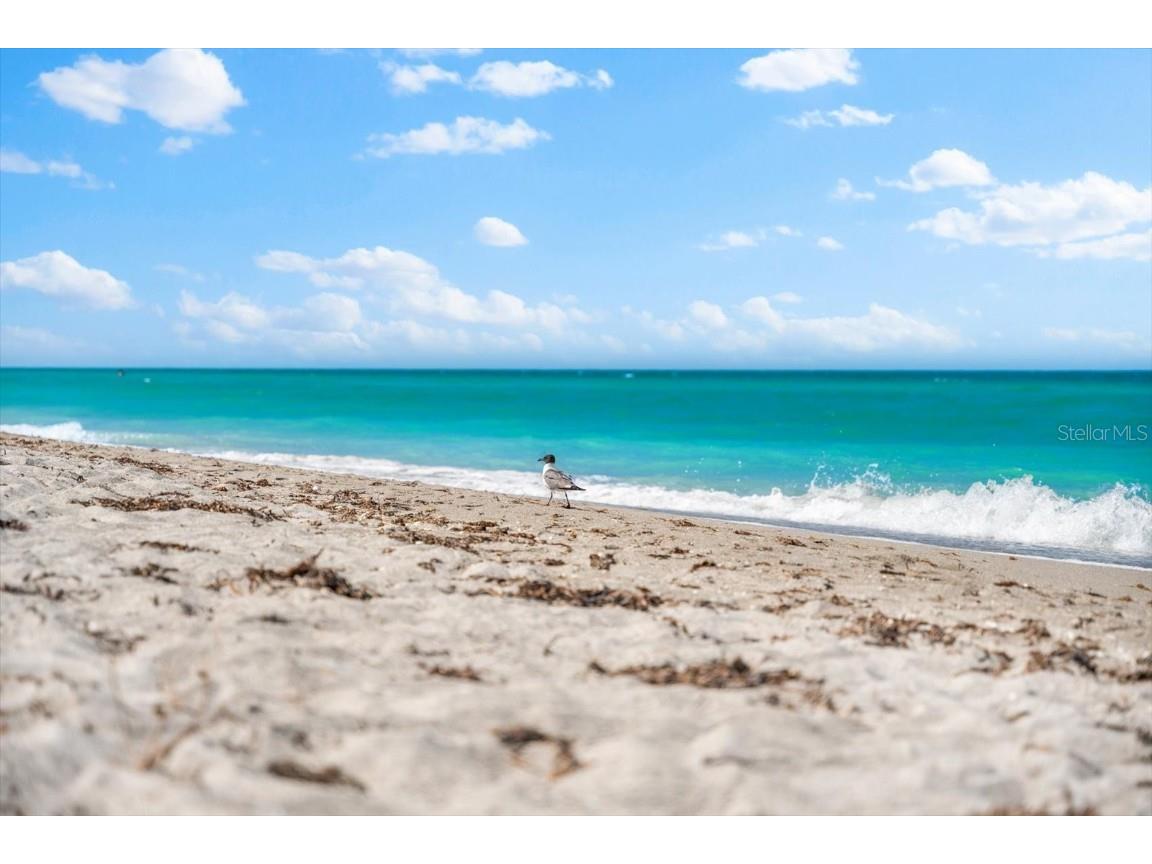 4106 Central Sarasota Parkway #1015 Sarasota FL 34238 A4667079 image62