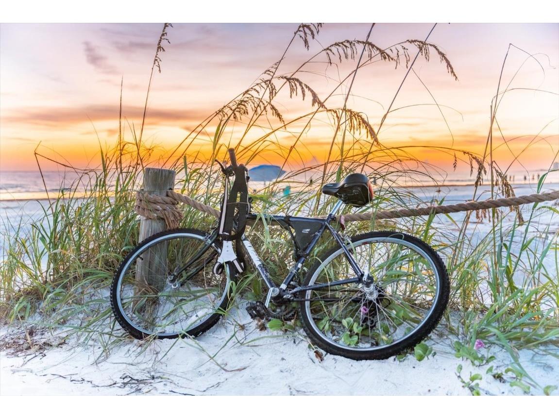 4106 Central Sarasota Parkway #1015 Sarasota FL 34238 A4667079 image83