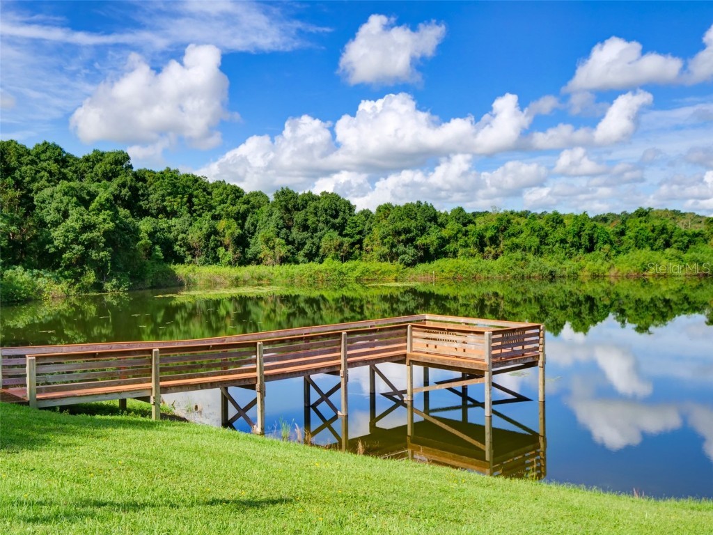 4106 Greenbluff Rd #824 Zellwood FL 32798 - COHEN AND GRASSMERE O6346526 image35