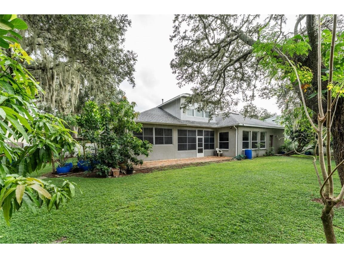 4106 Imperial Eagle Drive Valrico FL 33594 TB8441361 image25