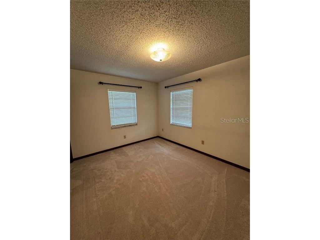 4106 Old Mulberry Road Plant City FL 33567 TB8402914 image36