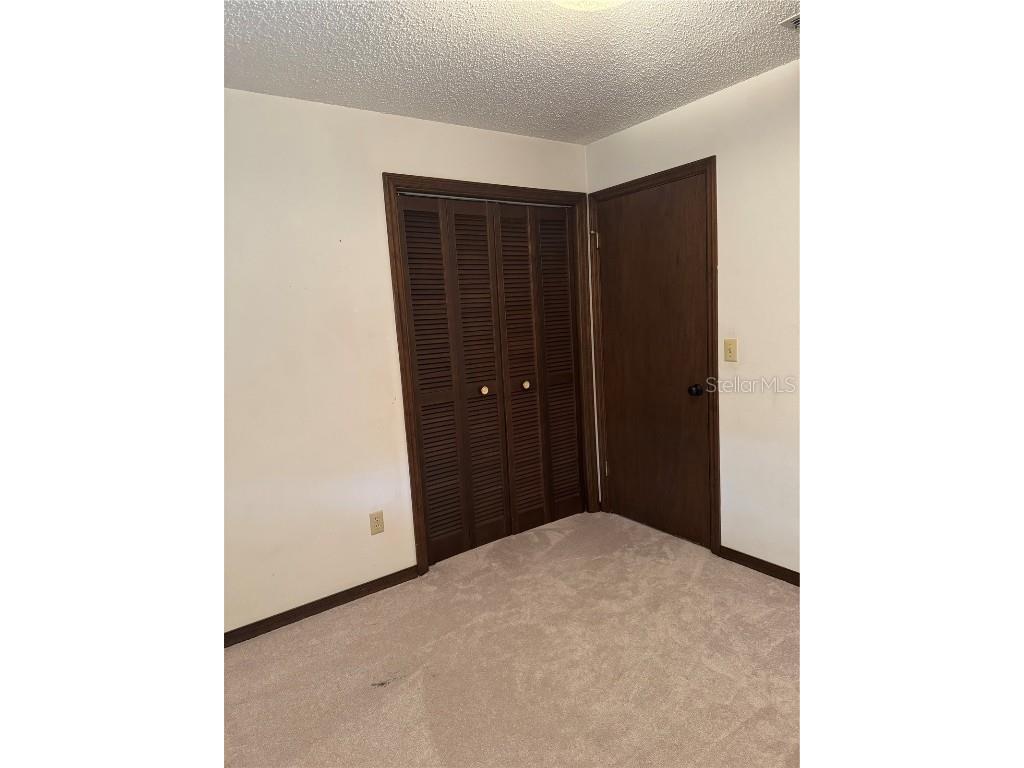 4106 Old Mulberry Road Plant City FL 33567 TB8402914 image37