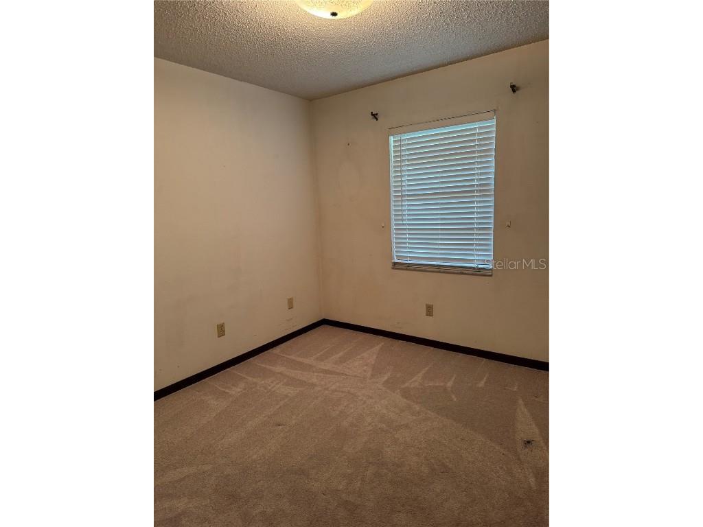 4106 Old Mulberry Road Plant City FL 33567 TB8402914 image38