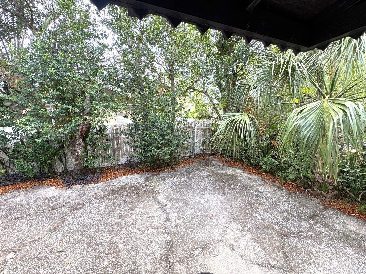 4106 W Arch Street Tampa FL 33607 TB8513627 image26