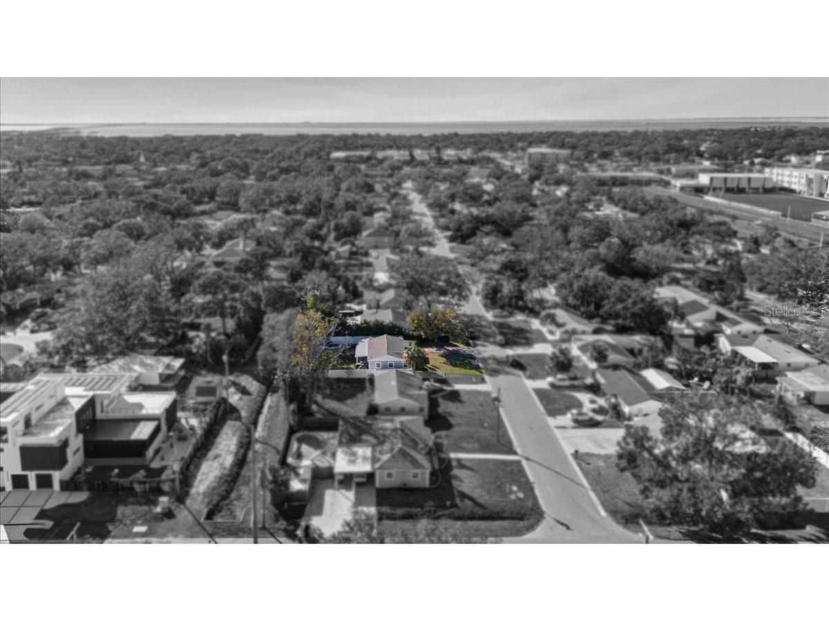 4106 W Bay View Avenue Tampa FL 33611 TB8348648 image35