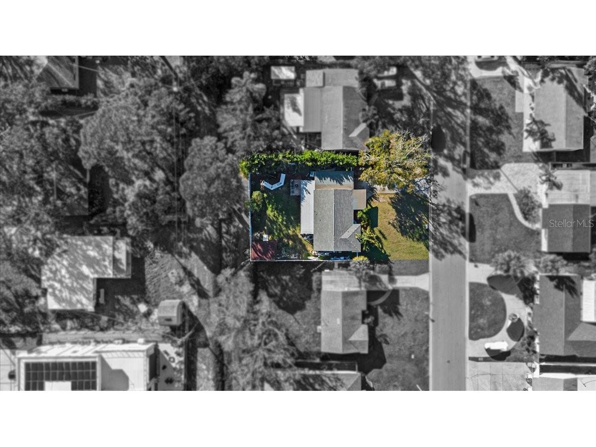 4106 W Bay View Avenue Tampa FL 33611 TB8348648 image37