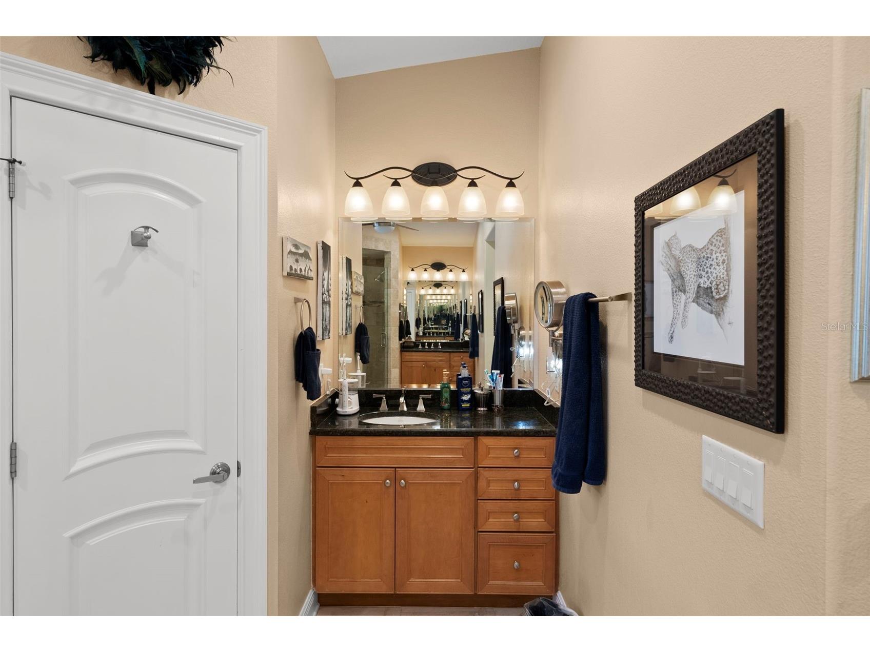 4106 W San Miguel Street Tampa FL 33629 TB8524261 image29
