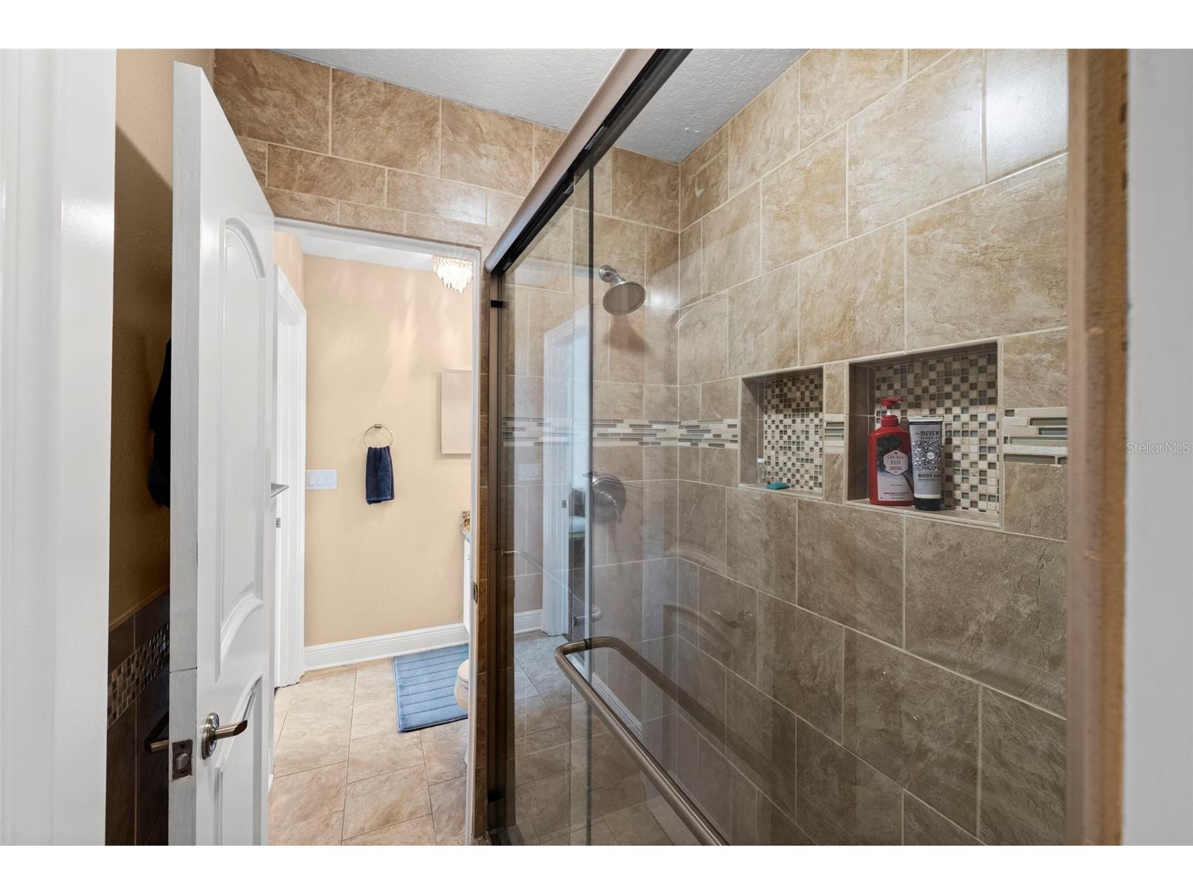 4106 W San Miguel Street Tampa FL 33629 TB8524261 image38