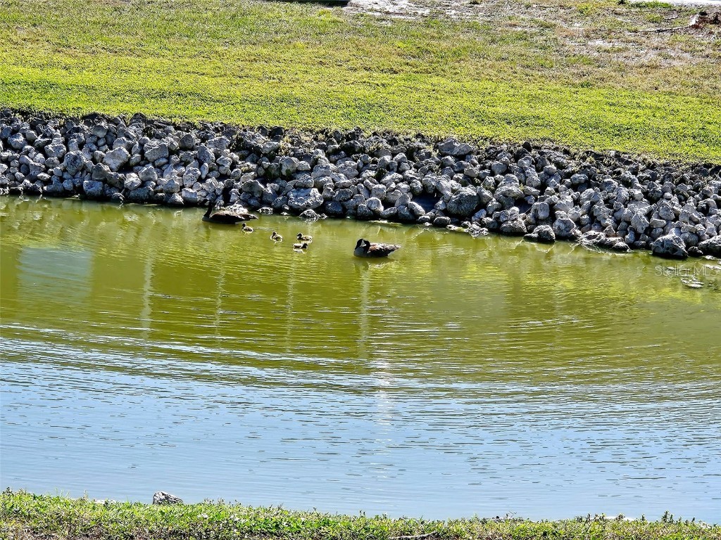 4107 41st Street W Bradenton FL 34205 A4160405 image14