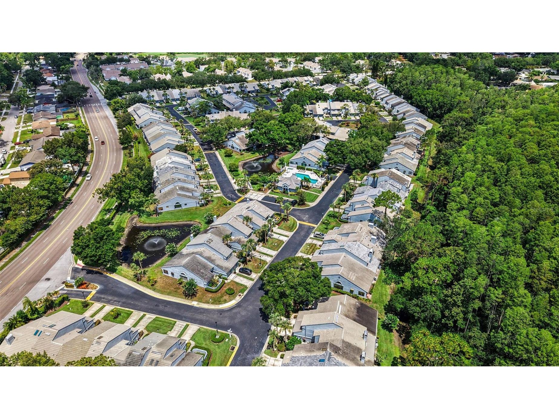 4107 Brentwood Park Circle Tampa FL 33624 TB8525686 image27