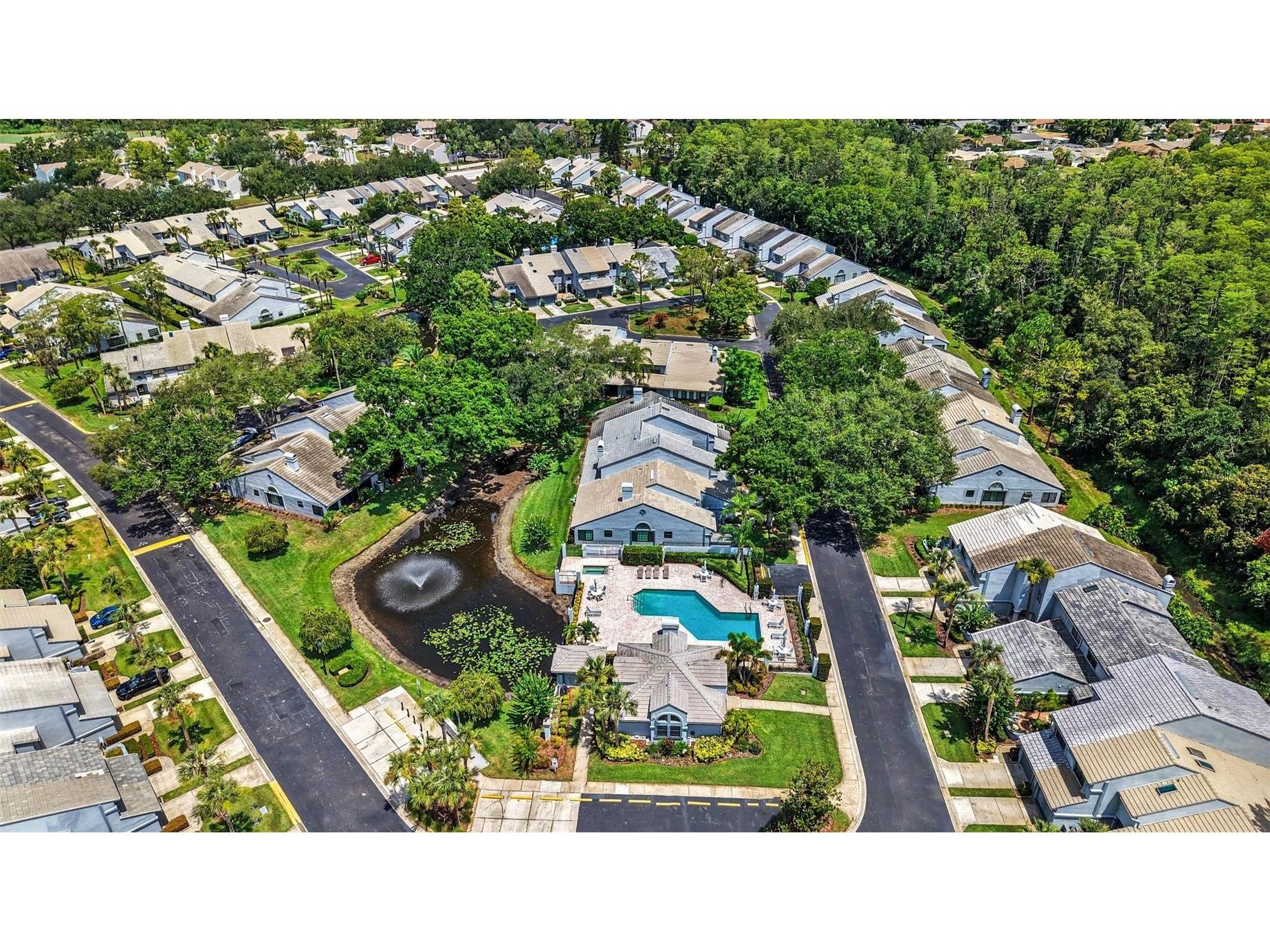 4107 Brentwood Park Circle Tampa FL 33624 TB8525686 image28